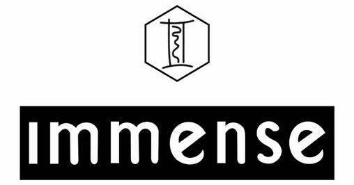 Immense Enterprises